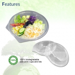 Eco-Friendly PLA Salad Bowls