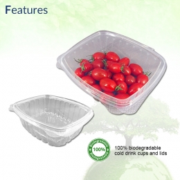 Disposable PLA Fruit Vegetables Containers