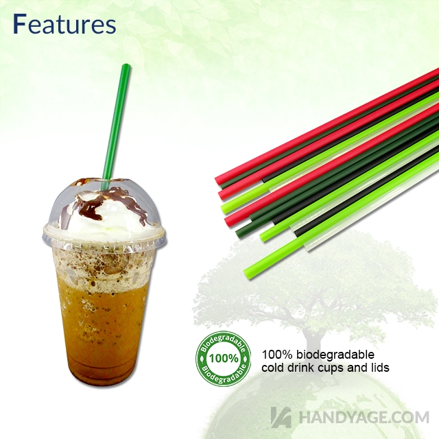 Biodegradable PLA Straws